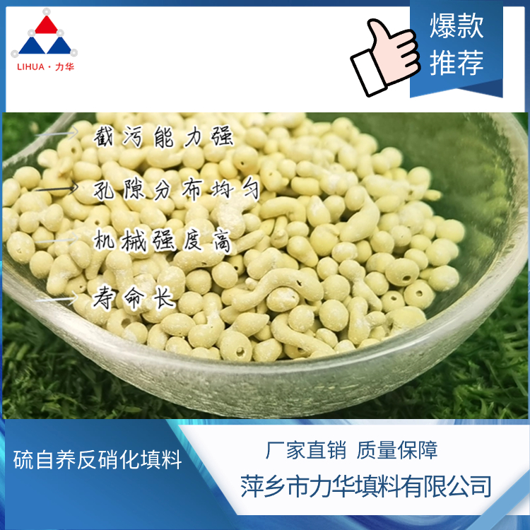 硫自养反硝化填料