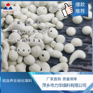 硫自养反硝化填料
