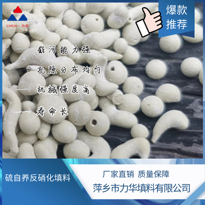 硫自养反硝化填料