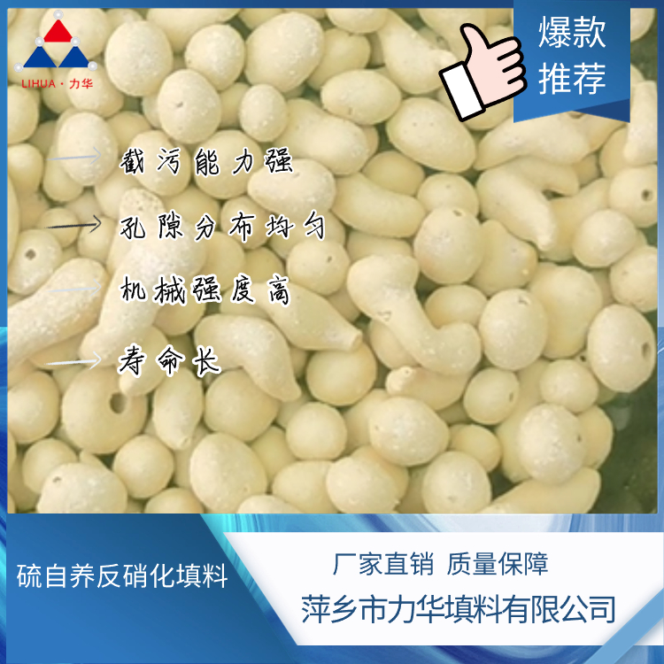 硫自养反硝化填料