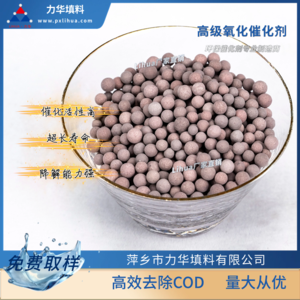 臭氧氧化催化剂