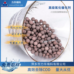 臭氧氧化催化剂