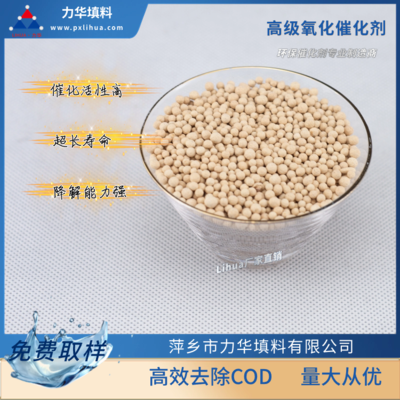 高级氧化催化剂